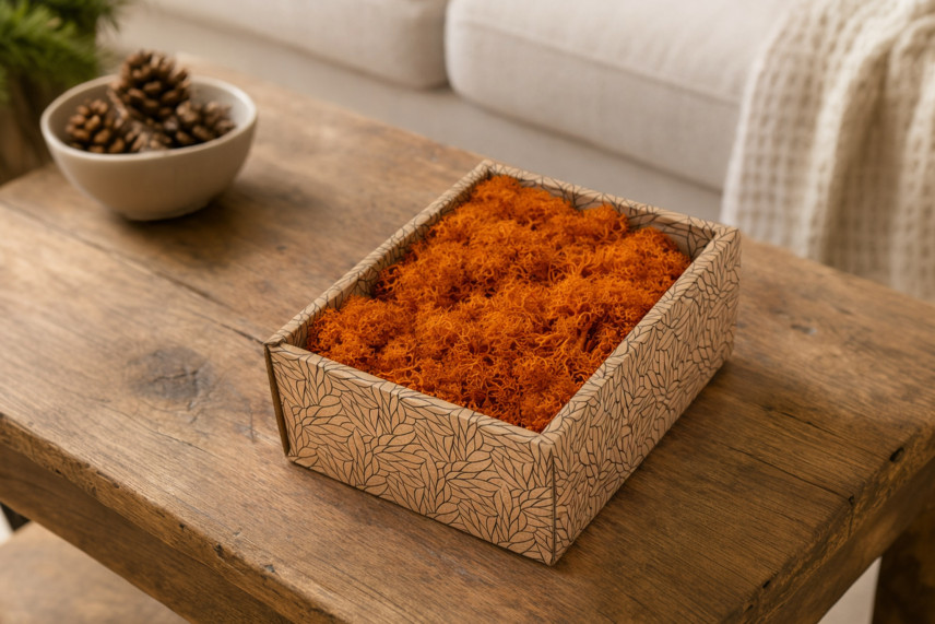 Preserved Reindeer Moss - Creabox S - Orange