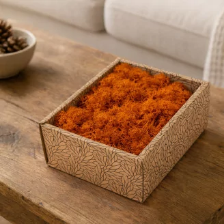 Preserved Reindeer Moss Orange (Creabox S)