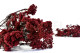 Preserved Rice Flower Red 5