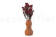 Preserved Rice Flower Red 7