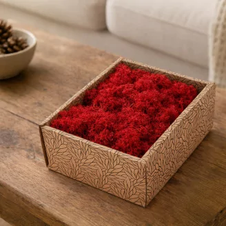 Preserved Reindeer Moss Red (Creabox S)