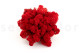 Preserved Reindeer Moss Red (Creabox S) 3