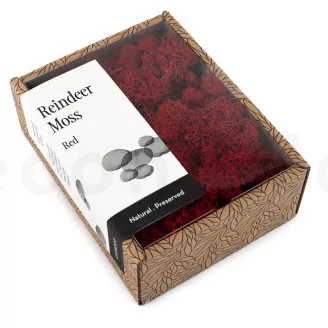 Preserved Reindeer Moss Red (Creabox S)