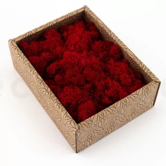 Preserved Reindeer Moss Red (Creabox S)