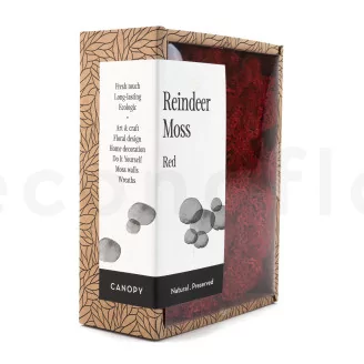 Preserved Reindeer Moss Red (Creabox S)