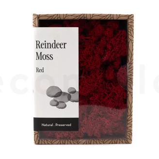 Preserved Reindeer Moss Red (Creabox S)