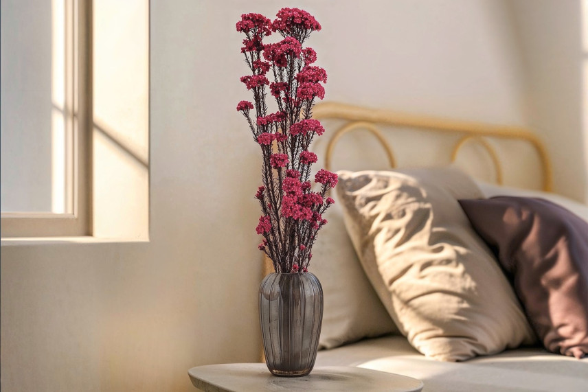 Preserved Rice Flower - Bunch - Pink