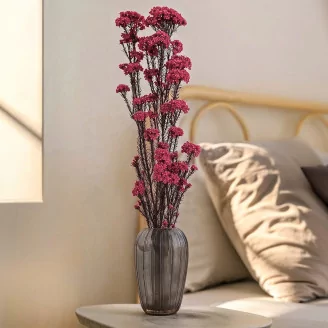 Preserved Rice Flower Pink