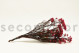 Preserved Rice Flower Pink 6