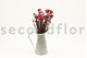 Preserved Rice Flower Pink 8