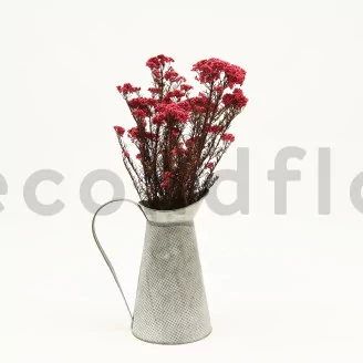Preserved Rice Flower Pink