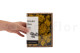 Preserved Reindeer Moss Yellow (Creabox S) 6