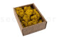 Preserved Reindeer Moss Yellow (Creabox S) 5