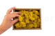 Preserved Reindeer Moss - Creabox S - Yellow 4