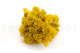 Preserved Reindeer Moss Yellow (Creabox S) 3