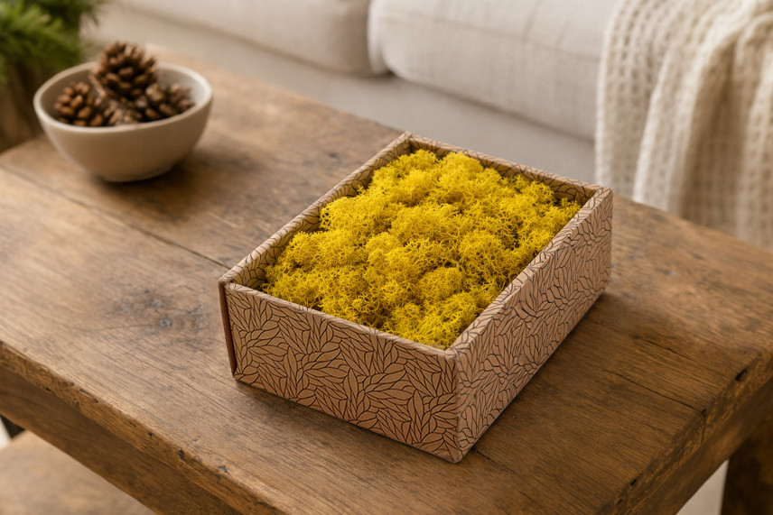 Preserved Reindeer Moss - Creabox S - Yellow