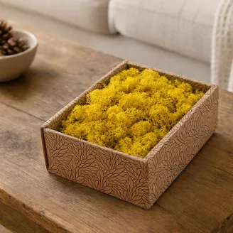 Preserved Reindeer Moss Yellow (Creabox S)