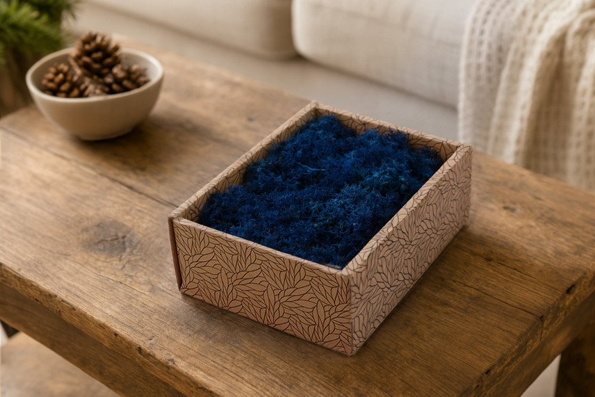 Preserved Reindeer Moss - Creabox S - Blue