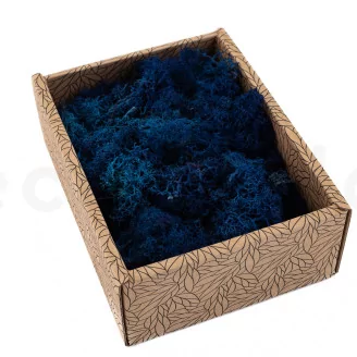 Preserved Reindeer Moss Blue (Creabox S)