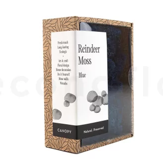 Preserved Reindeer Moss Blue (Creabox S)
