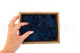 Preserved Reindeer Moss - Creabox S - Blue 5