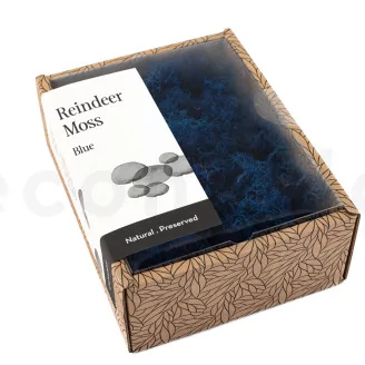 Preserved Reindeer Moss Blue (Creabox S)
