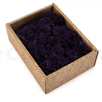 Preserved Reindeer Moss Purple (Creabox S)