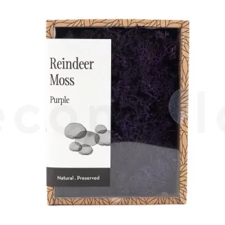 Preserved Reindeer Moss Purple (Creabox S)