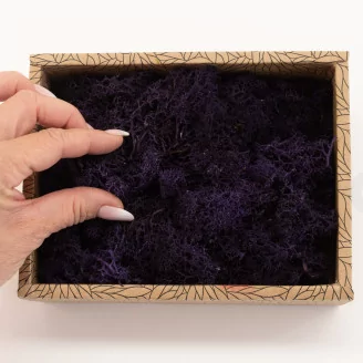 Preserved Reindeer Moss Purple (Creabox S)