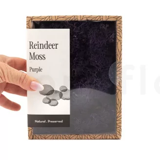 Preserved Reindeer Moss Purple (Creabox S)
