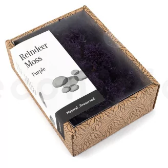 Preserved Reindeer Moss Purple (Creabox S)