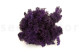 Preserved Reindeer Moss - Creabox S - Purple 3