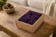 Preserved Reindeer Moss Purple (Creabox S) 1