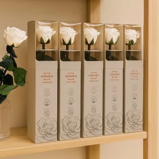 Preserved Rose on Stem 12" White - Individual Gift Box (set of 25)