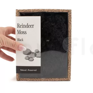 Preserved Reindeer Moss Black (Creabox S)