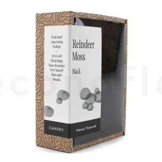 Preserved Reindeer Moss Black (Creabox S)