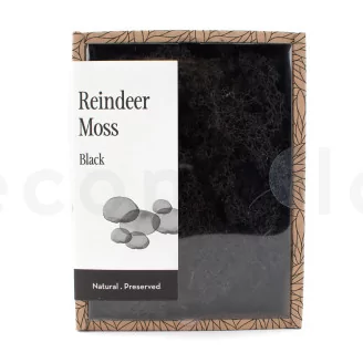 Preserved Reindeer Moss Black (Creabox S)