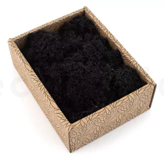 Preserved Reindeer Moss Black (Creabox S)