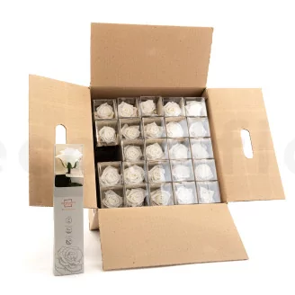 Preserved Rose on Stem 12" White - Individual Gift Box (set of 25)