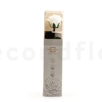 Preserved Rose on Stem 12" White - Individual Gift Box (set of 25)