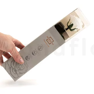 Preserved Rose on Stem 12" White - Individual Gift Box (set of 25)