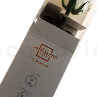 Preserved Rose on Stem 12" White - Individual Gift Box (set of 25)