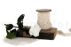 Preserved Roses on stem 12" - Gift Box 25 Units - White 11