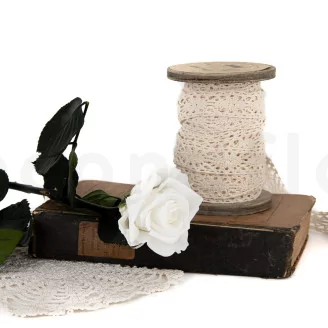 Preserved Rose on Stem 12" White - Individual Gift Box (set of 25)