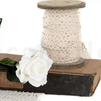 Preserved Rose on Stem 12" White - Individual Gift Box (set of 25)