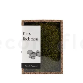 Preserved Rock Moss (Creabox S)