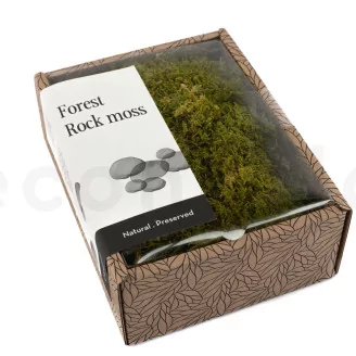 Preserved Rock Moss (Creabox S)