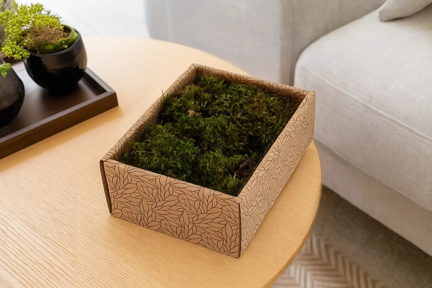 Preserved Hair Moss (Creabox S)