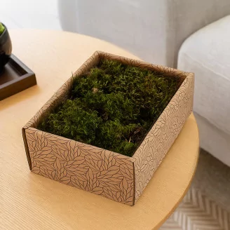 Preserved Hair Moss (Creabox S)