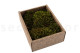 Preserved Hair Moss - Creabox S - Green 4